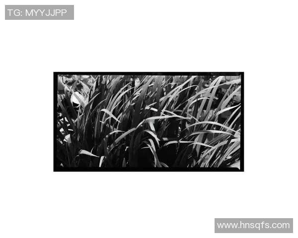 小众足球球星壁纸精选展现独特魅力与非凡技艺的视觉盛宴